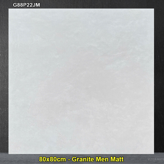 Gạch Ốp Lát Taicera 80×80 G88P22JM Vân Xám