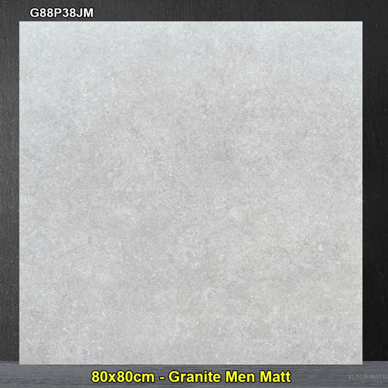 Gạch Ốp Lát Taicera 80×80 G88P38JM Vân Xám