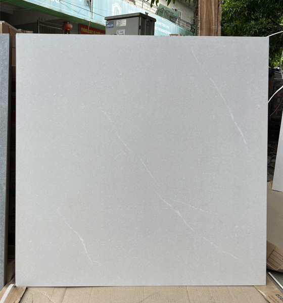 Gạch Ốp Lát Việt Ý 80×80 M88100K