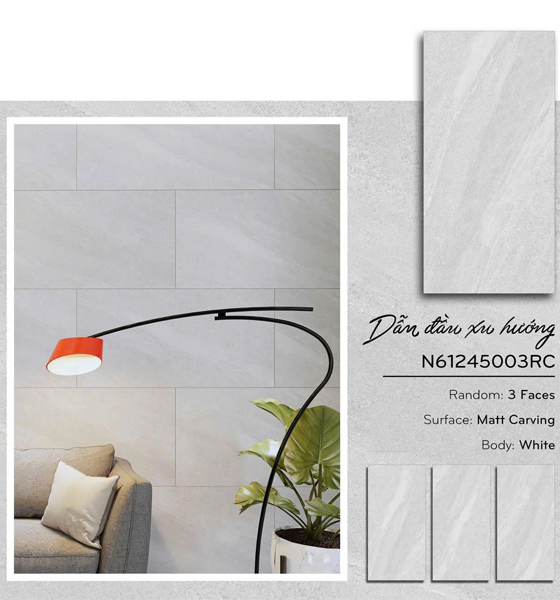 Gạch Ốp Lát Ý Mỹ 60x120cm N61245003RC