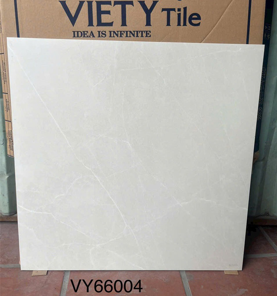 Gạch Ốp Lát Việt Ý 60×60 VY66004