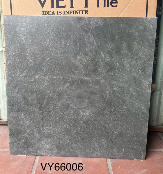 Gạch Ốp Lát Việt Ý 60×60 VY66006