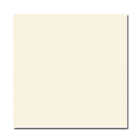 Gạch lát nền 80×80 Bạch Mã PL8000