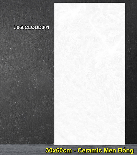 Gạch Ốp Lát 30x60cm Đồng Tâm 3060CLOUD001