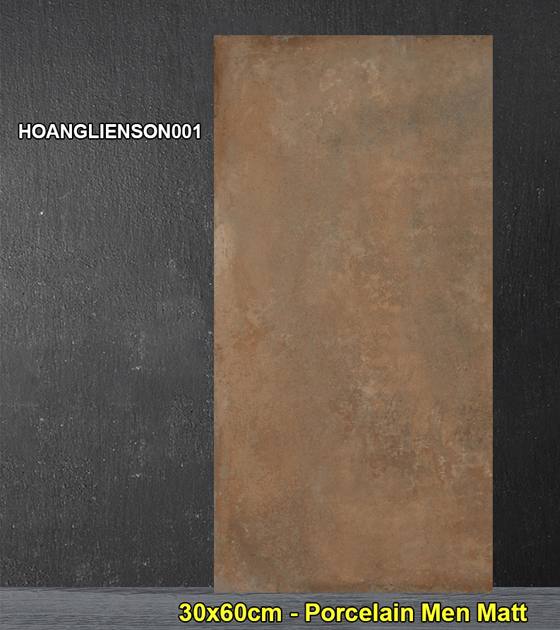 Gạch Ốp Lát 30x60cm Đồng Tâm 3060HOANGLIENSON001