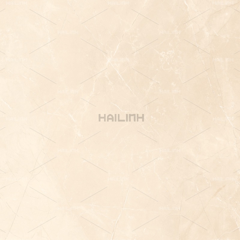 Gạch Ấn Độ CSI88196