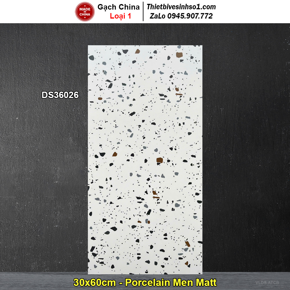 Gạch 30x60 Trung Quốc DS36026 Terrazzo