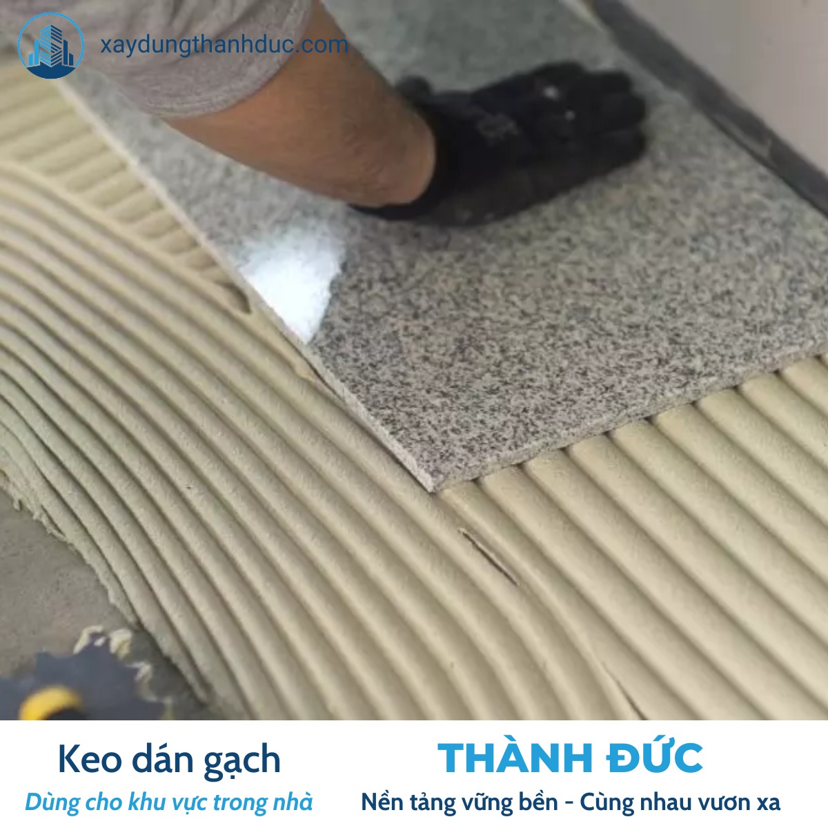 Keo Dán Gạch Webertai Vis cho khu vực nội thất